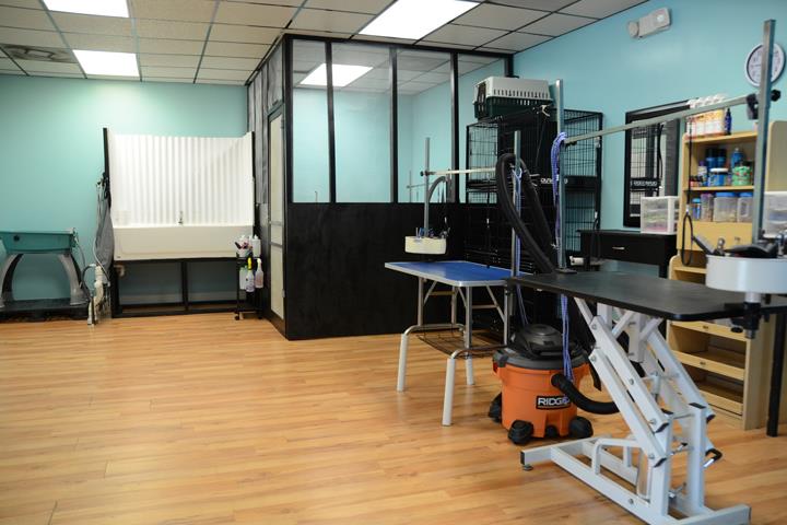 Pouchi's Bath House, LLC - Pet Groomer - Jacksonville, FL